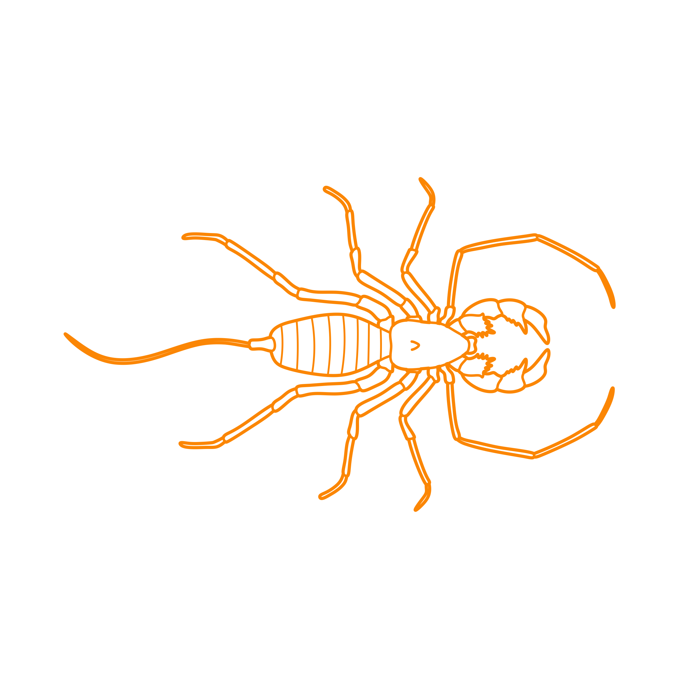Animals Arachnids Giant Whip Scorpion Laser Cut Svg File Free Vectors